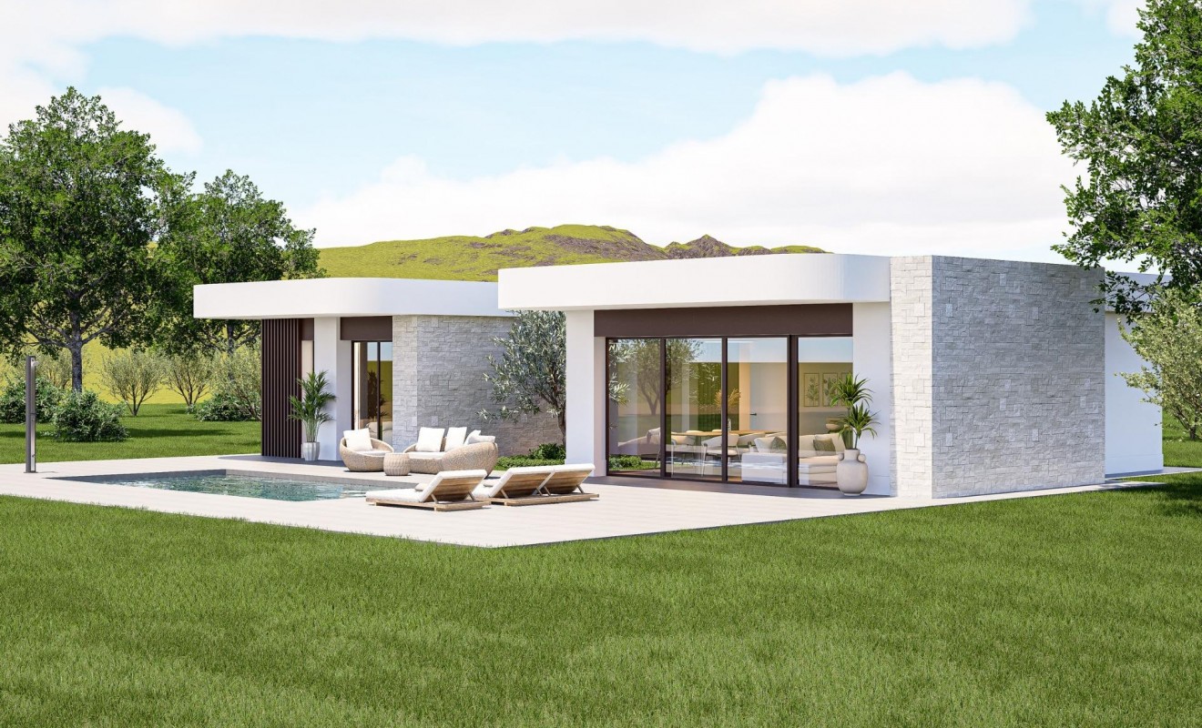 Nieuwbouw woningen - Villa - Pinoso - Lel