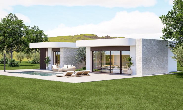 Nieuwbouw woningen - Villa - Pinoso - Lel