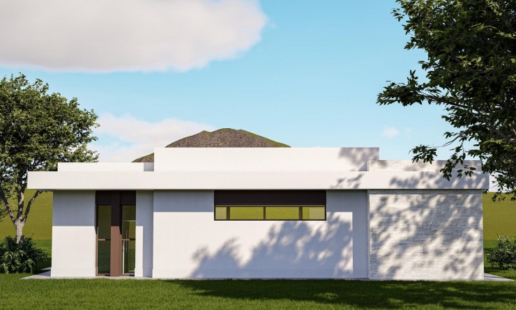 Nieuwbouw woningen - Villa - Pinoso - Lel