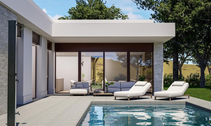 Nieuwbouw woningen - Villa - Pinoso - Lel