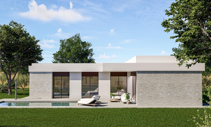 Nieuwbouw woningen - Villa - Pinoso - Lel