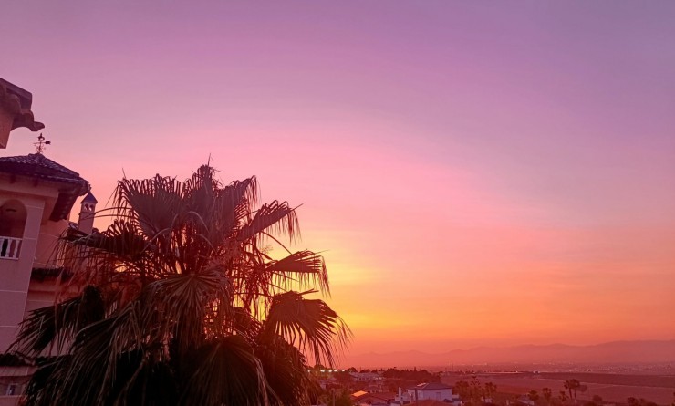 Wederverkoop - Villa - Algorfa - Lomas de Juliana