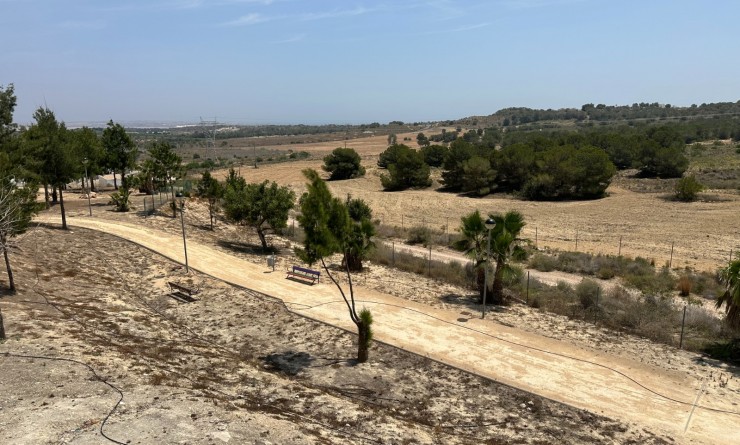 Sale - Villa - San Miguel de Salinas - San Miguel Salinas