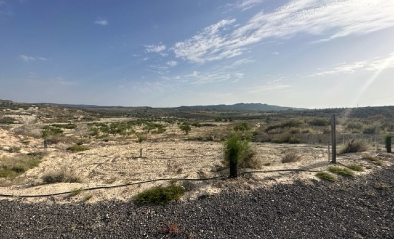 Sale - Plot of Land - Torremendo
