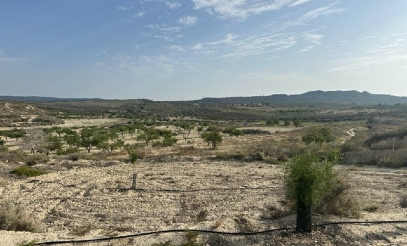 Sale - Plot of Land - Torremendo