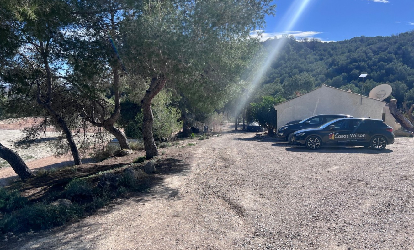 Sale - Country Property/Finca - Torremendo