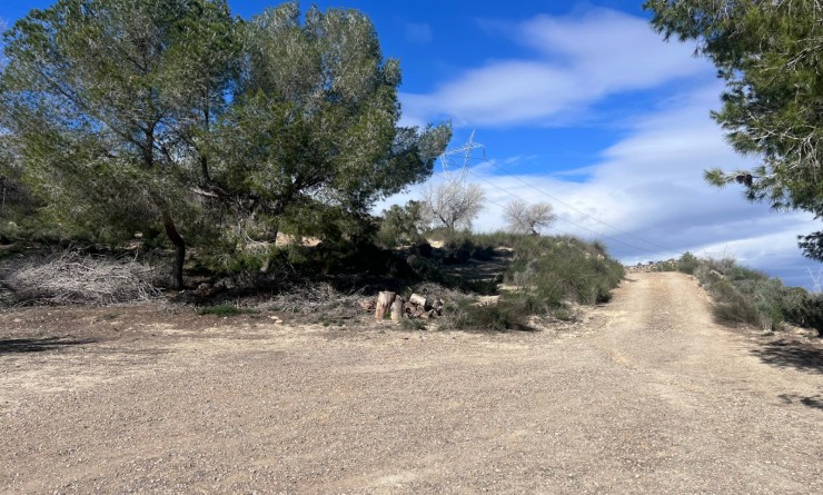 Sale - Country Property/Finca - Torremendo