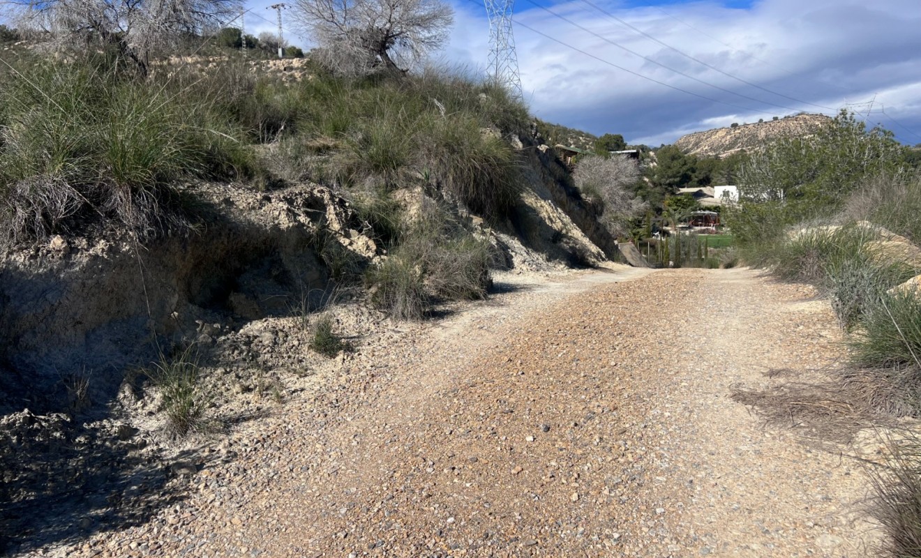 Sale - Country Property/Finca - Torremendo