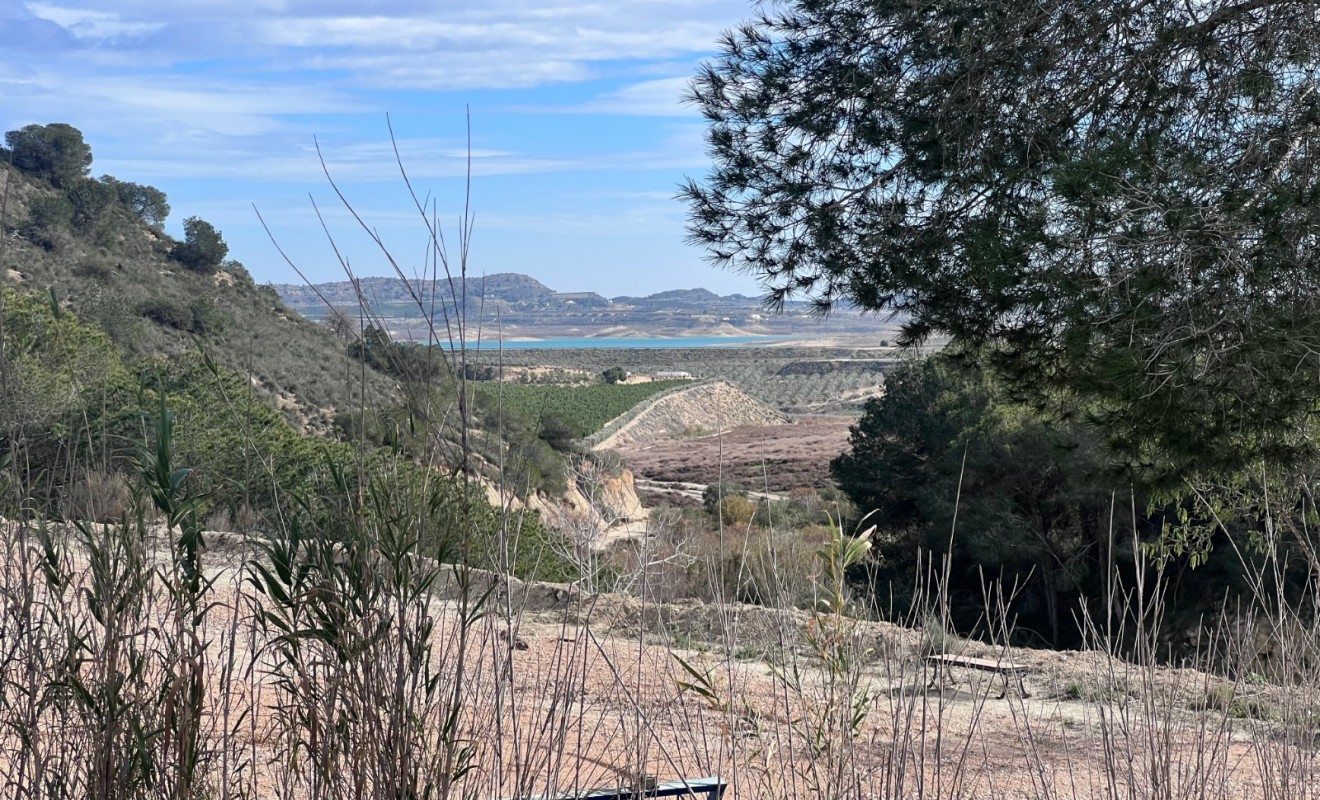 Sale - Country Property/Finca - Torremendo