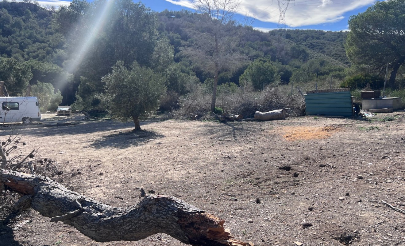 Sale - Country Property/Finca - Torremendo