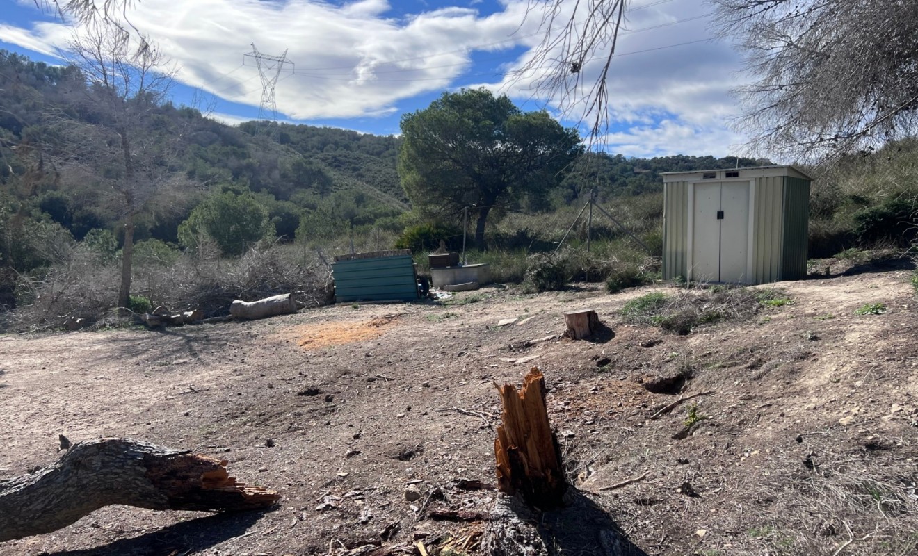 Sale - Country Property/Finca - Torremendo