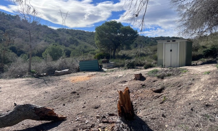 Sale - Country Property/Finca - Torremendo