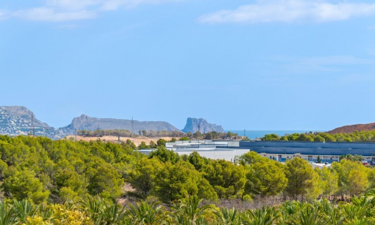 Nieuwbouw woningen - Villa - Polop - Novapolop