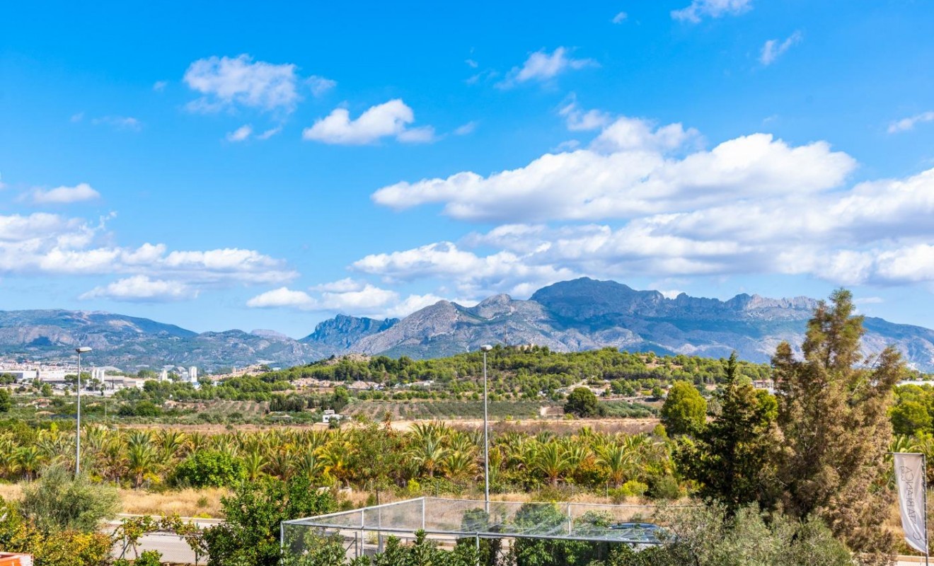 Nieuwbouw woningen - Villa - Polop - Novapolop