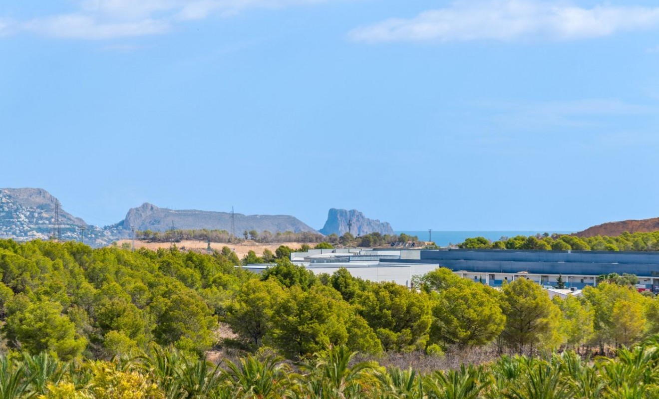 Nieuwbouw woningen - Villa - Polop - Novapolop