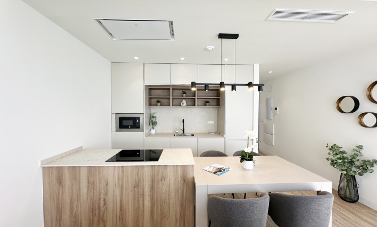 Nieuwbouw woningen - Detached - Torre de la Horadada