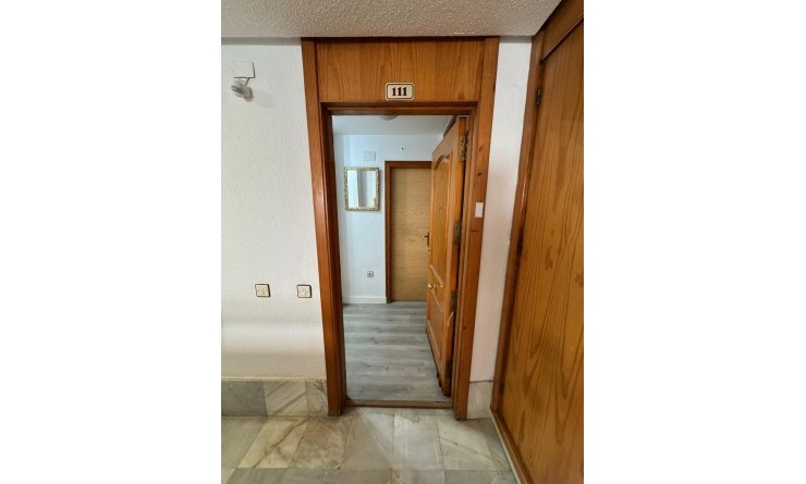 Sale - Estudio - Torrevieja - Playa de Los Locos-Curva del Palangre