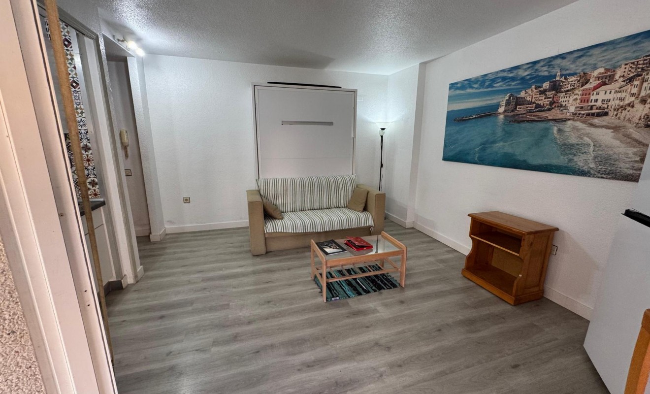 Sale - Estudio - Torrevieja - Playa de Los Locos-Curva del Palangre