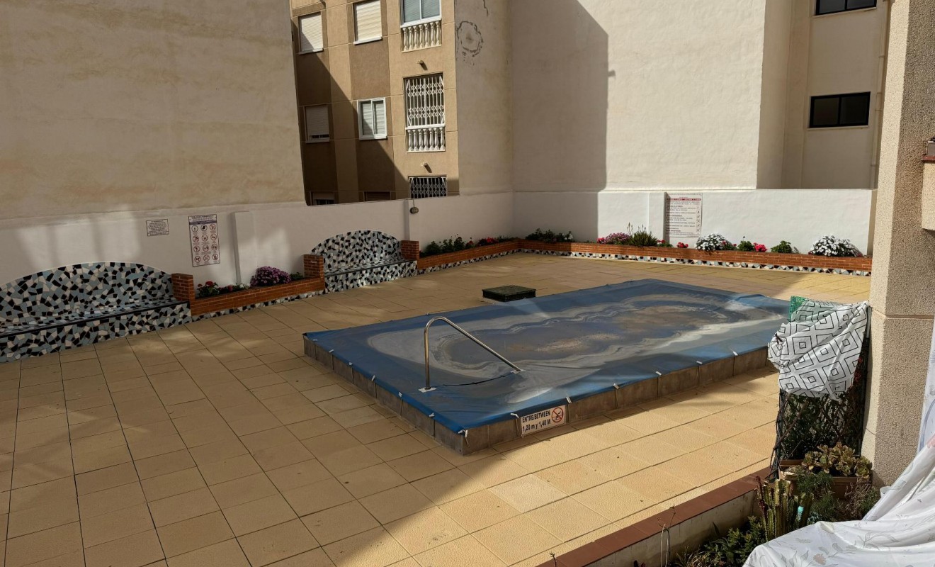 Sale - Estudio - Torrevieja - Playa de Los Locos-Curva del Palangre