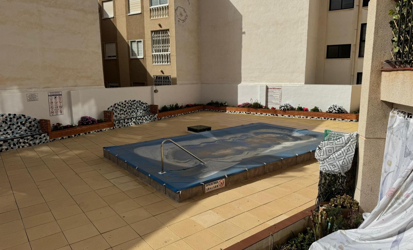 Sale - Estudio - Torrevieja - Playa de Los Locos-Curva del Palangre