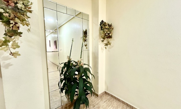 Wederverkoop - Appartement - Almoradí