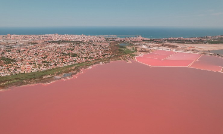 New Build - high-bungalow - Torrevieja - torrevieja