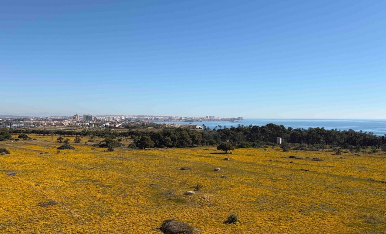 Revente - Appartement - Orihuela Costa - Punta Prima