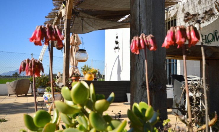 Sale - House - Catral - C- COMUNIDAD VALENCIANA