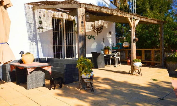 Sale - House - Catral - C- COMUNIDAD VALENCIANA