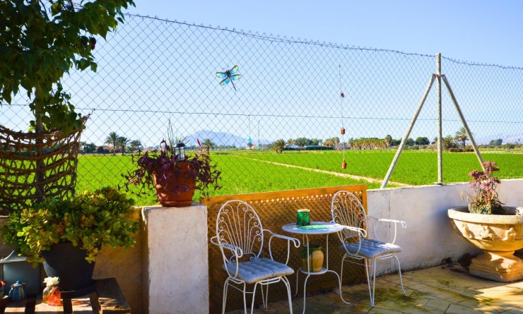 Sale - House - Catral - C- COMUNIDAD VALENCIANA