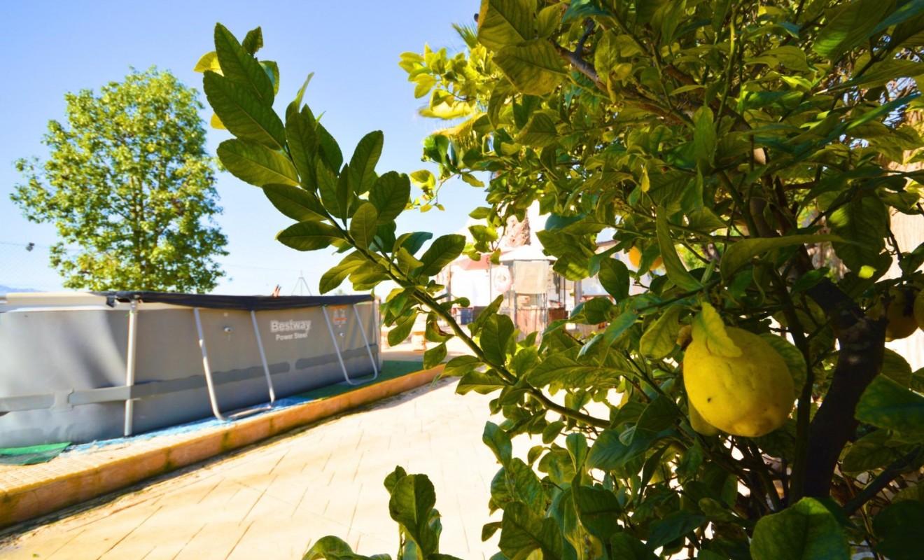 Sale - House - Catral - C- COMUNIDAD VALENCIANA