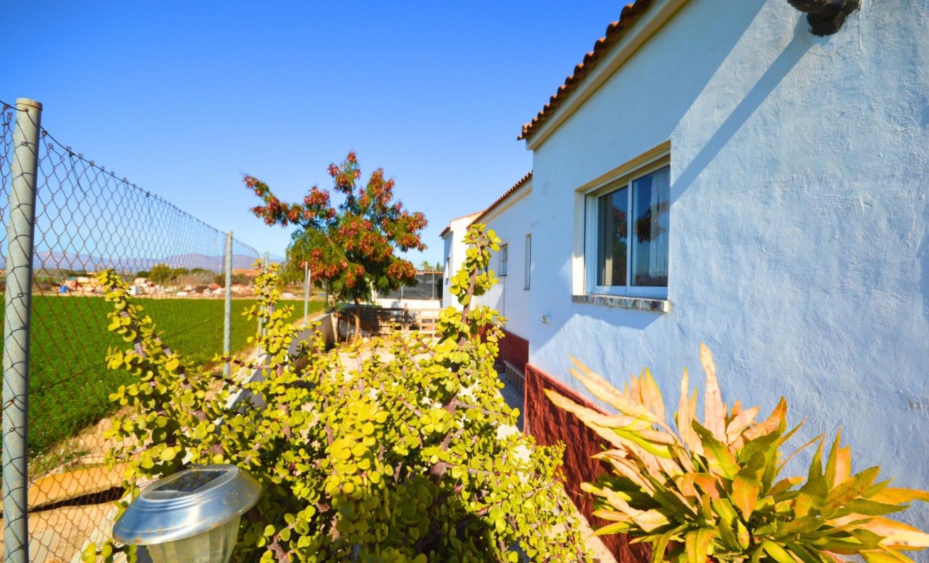 Sale - House - Catral - C- COMUNIDAD VALENCIANA