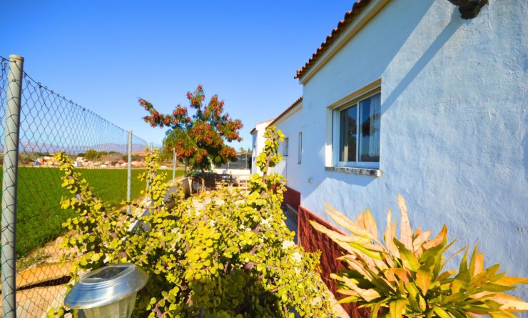 Sale - House - Catral - C- COMUNIDAD VALENCIANA