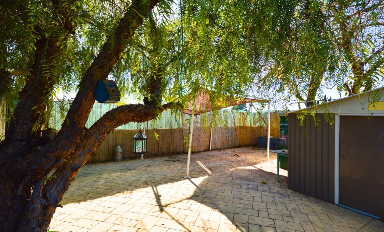 Sale - House - Catral - C- COMUNIDAD VALENCIANA