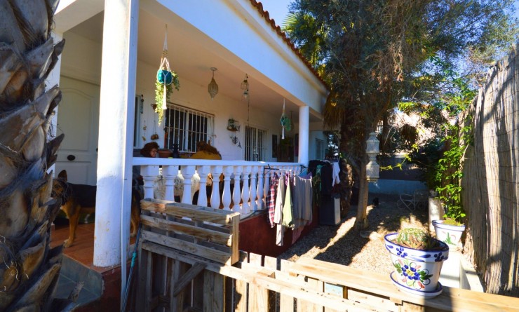 Sale - House - Catral - C- COMUNIDAD VALENCIANA