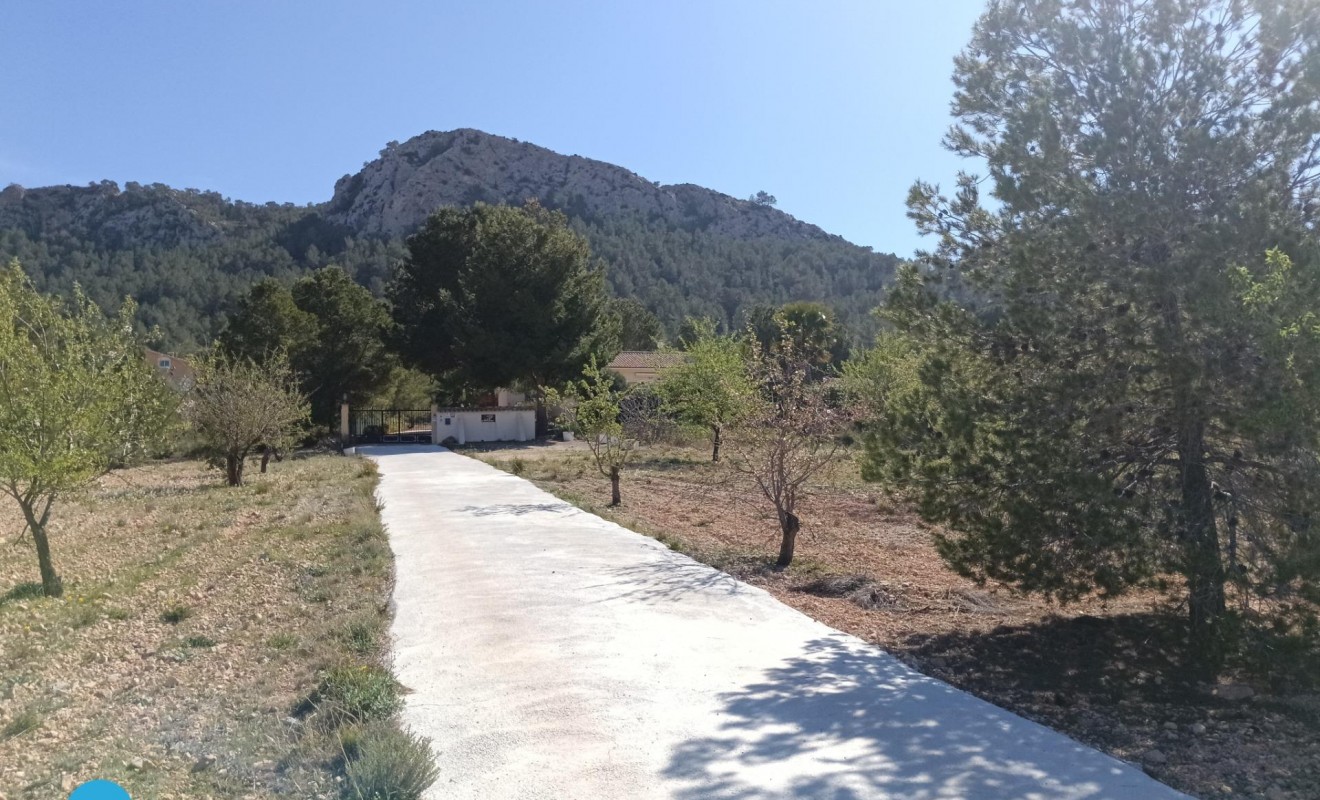 Sale - Villa - Abanilla