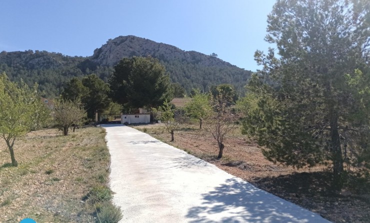 Sale - Villa - Abanilla