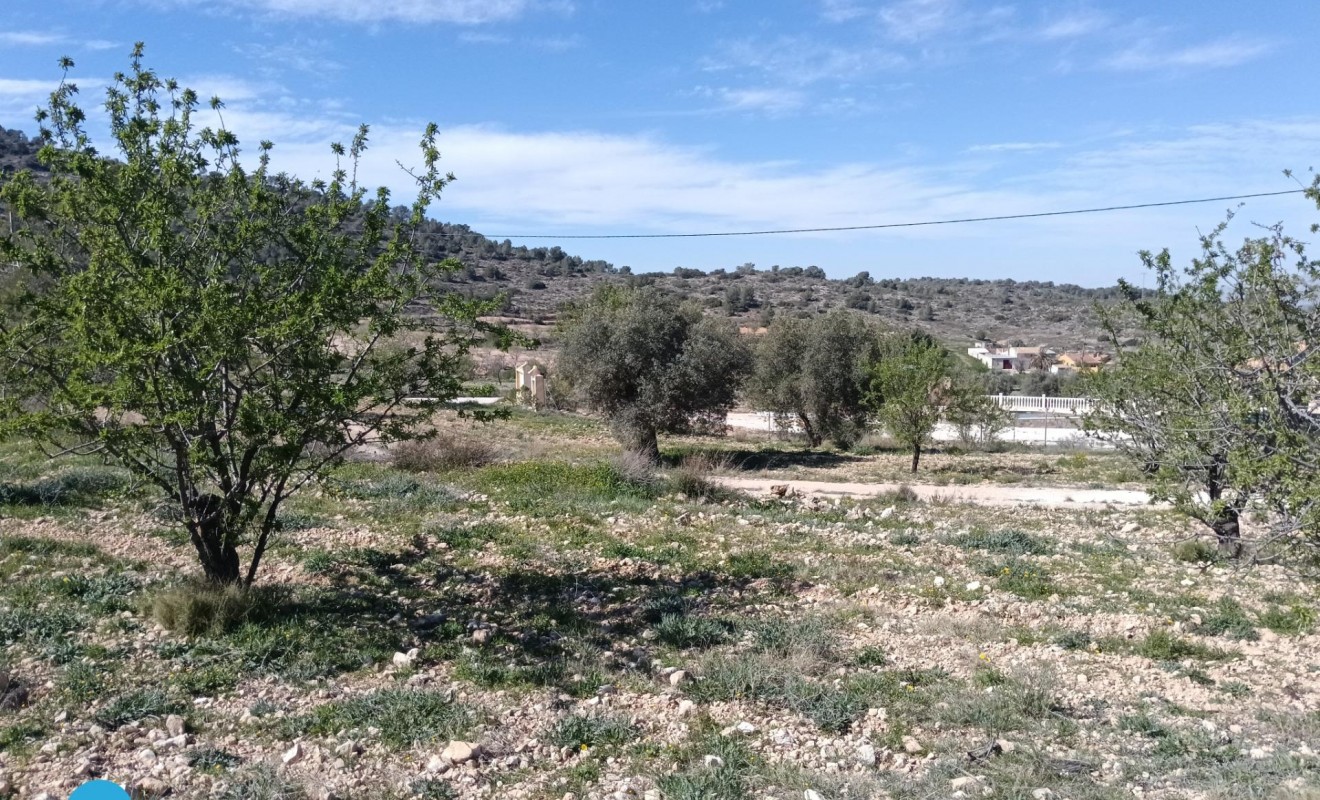 Sale - Villa - Abanilla