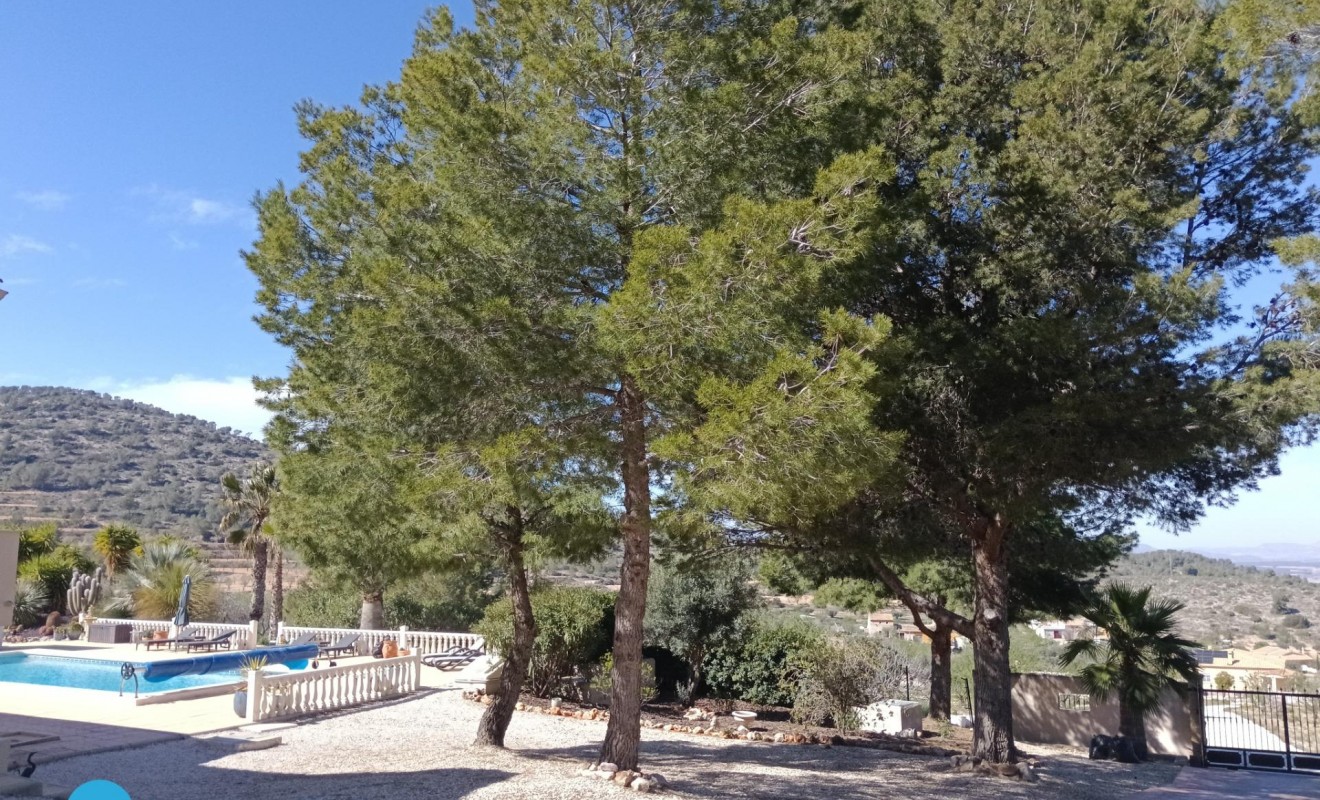 Sale - Villa - Abanilla