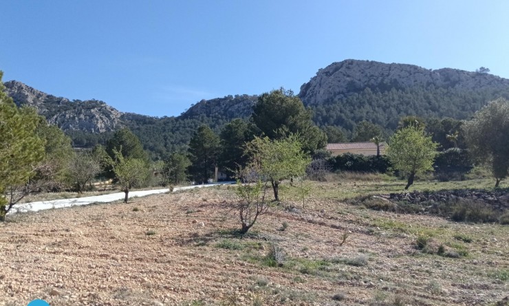 Sale - Villa - Abanilla