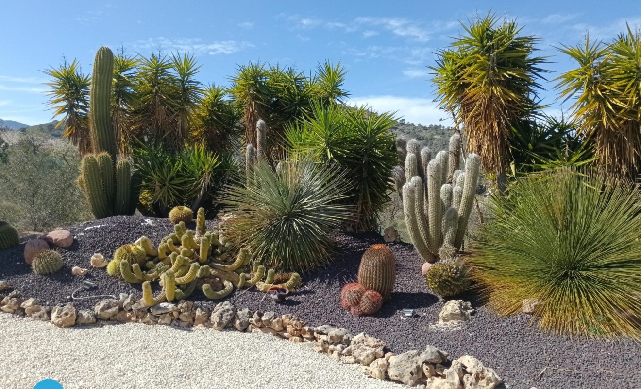 Sale - Villa - Abanilla