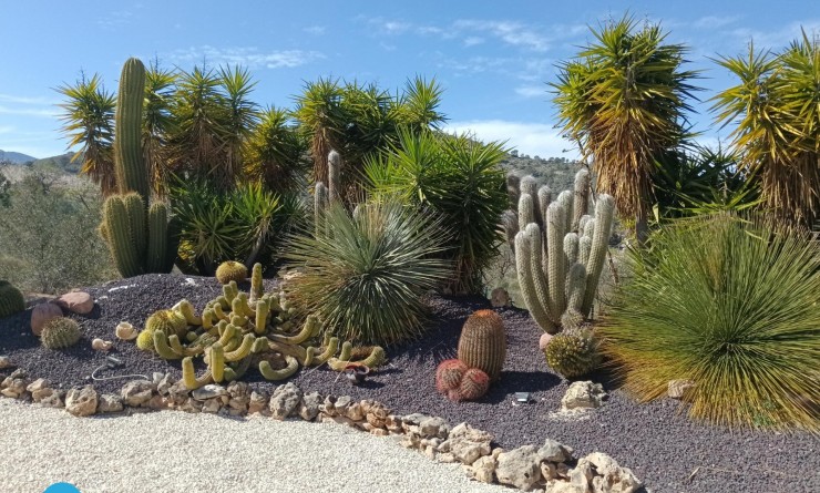 Sale - Villa - Abanilla