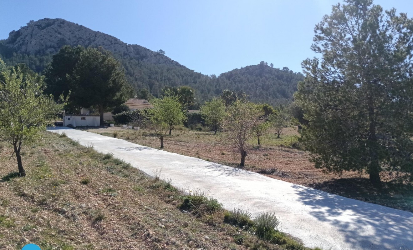 Sale - Villa - Abanilla