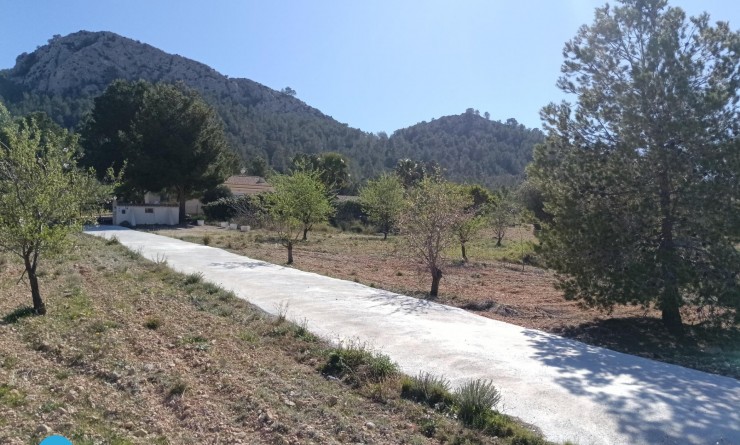 Sale - Villa - Abanilla