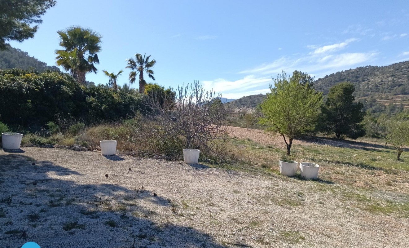 Sale - Villa - Abanilla