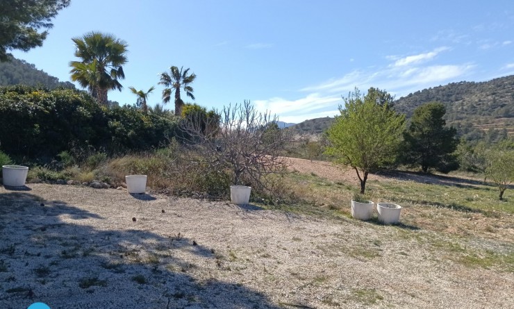 Sale - Villa - Abanilla