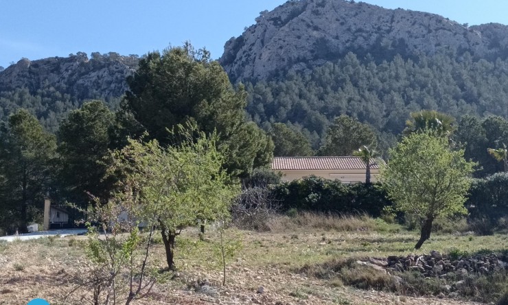 Sale - Villa - Abanilla