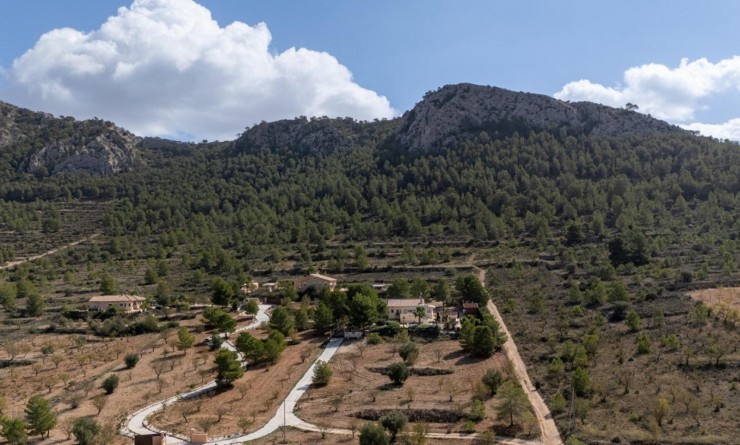 Sale - Villa - Abanilla