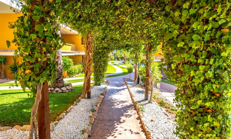 Sale - Apartment - Torrevieja - Punta prima