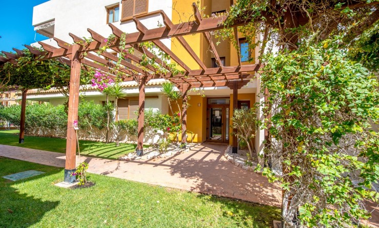 Sale - Apartment - Torrevieja - Punta prima